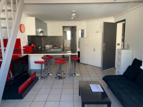 Appartement T3 tout confort en duplex à 15mn à pied du centre-ville